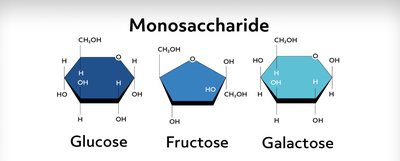 Monosaccharide structures