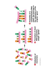 Steps in the origin of self-replicating RNA