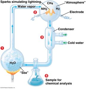 Miller-Urey experiment apparatus