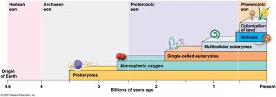 Timeline of major events in Earth's history