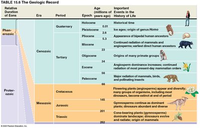 Geologic record table continued