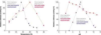 Enzyme activity vs. temperature and pH