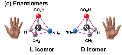 Enantiomers: L and D isomers
