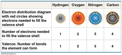 Table showing valence and electron distribution for H, O, N, and C