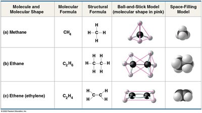 Table showing molecular formulas, structural formulas, and models for methane, ethane, and ethylene