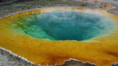 Morning Glory Pool, an environment with thermophilic prokaryotes