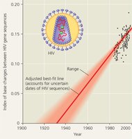 Molecular clock analysis of HIV origin