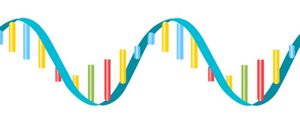 RNA single strand structure