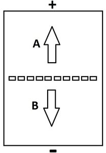 Gel electrophoresis diagram showing direction of DNA movement