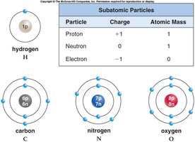 Subatomic particles and atomic structure of hydrogen, carbon, nitrogen, and oxygen