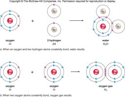 Formation of covalent bonds in water and oxygen molecules