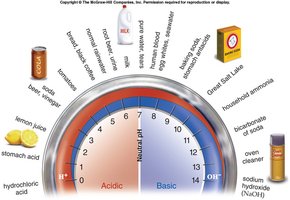 pH scale with common substances