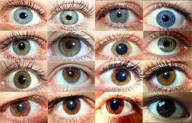 Human eye color variation