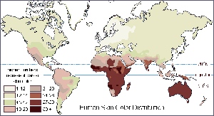 Human skin color distribution map