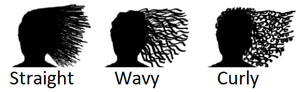 Hair texture examples: straight, wavy, curly
