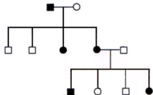 Pedigree for X-linked dominant inheritance
