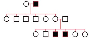 Pedigree for X-linked recessive inheritance