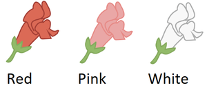 Flower color examples: red, pink, white
