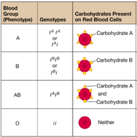 ABO blood group table