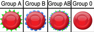 Blood type examples