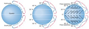 Diagram of global air circulation and wind patterns