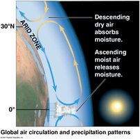 Global air circulation and precipitation patterns
