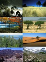 Map of major terrestrial biomes