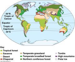 Photographs of different terrestrial biomes
