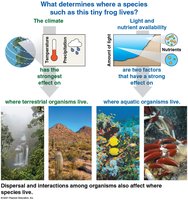 Diagram showing climate and other factors determining species distribution