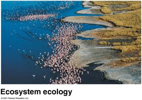Aerial view of a lake ecosystem, example of ecosystem ecology