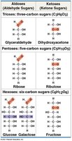 Aldose and ketose sugars