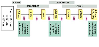 Microscopy resolution chart