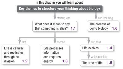 Chapter roadmap: Key themes in biology