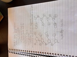 DNA double helix with hydrogen bonds