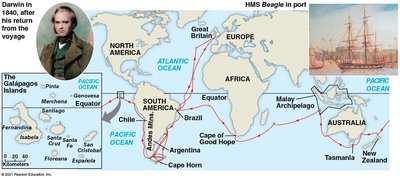 Map of Darwin's voyage on the HMS Beagle