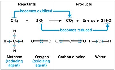 Redox reaction: methane and oxygen