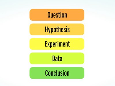 Steps of the scientific method