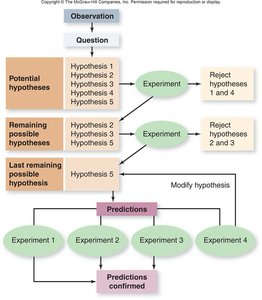 Flowchart of the scientific method with hypothesis testing and rejection
