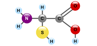 Structure of an amino acid