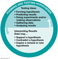 Forming and testing hypotheses