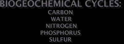 Biogeochemical cycles: carbon, water, nitrogen, phosphorus, sulfur