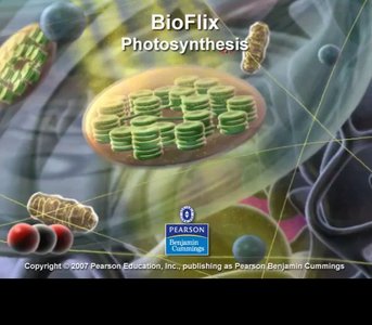 BioFlix Photosynthesis overview