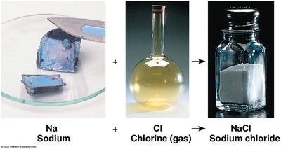 Sodium and chlorine combine to form sodium chloride (table salt)