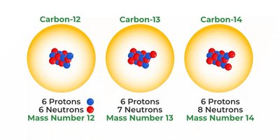 Carbon isotopes: Carbon-12, Carbon-13, Carbon-14