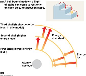 Energy levels of electrons and shell transitions