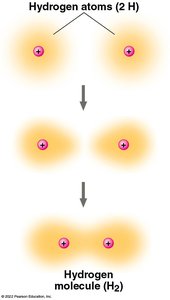 Formation of a hydrogen molecule (H2) by covalent bonding