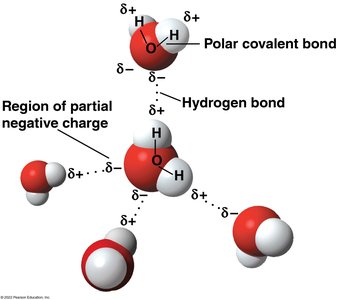 Cohesion and adhesion cartoon