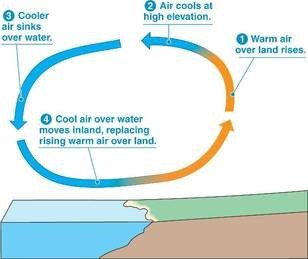 Diagram of air circulation over water and land