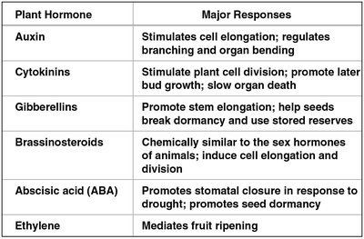 Table summarizing plant hormones and their major responses