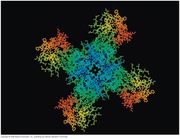 Channel protein facilitating transport across the membrane